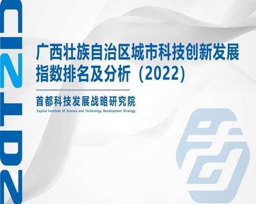 国产深插到底视频【成果发布】广西壮族自治区城市科技创新发展指数排名及分析（2022）